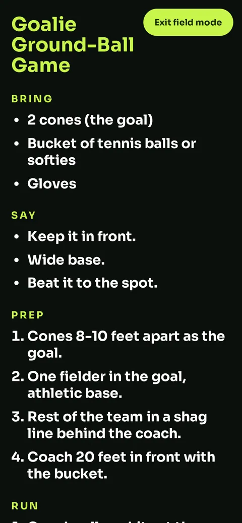 Field mode on a phone: giant high-contrast text readable in sunlight
